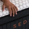 Brooklyn Bedding 14" Sedona Elite - Image 5