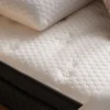 Brooklyn Bedding Titan Plus Luxe - Image 3