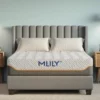 *MyBambu SPECIAL!!* MLILY Fusion Supreme 11.5" Hybrid Luxury Mattress