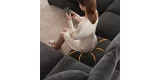 Freddie-Sectional-10-low